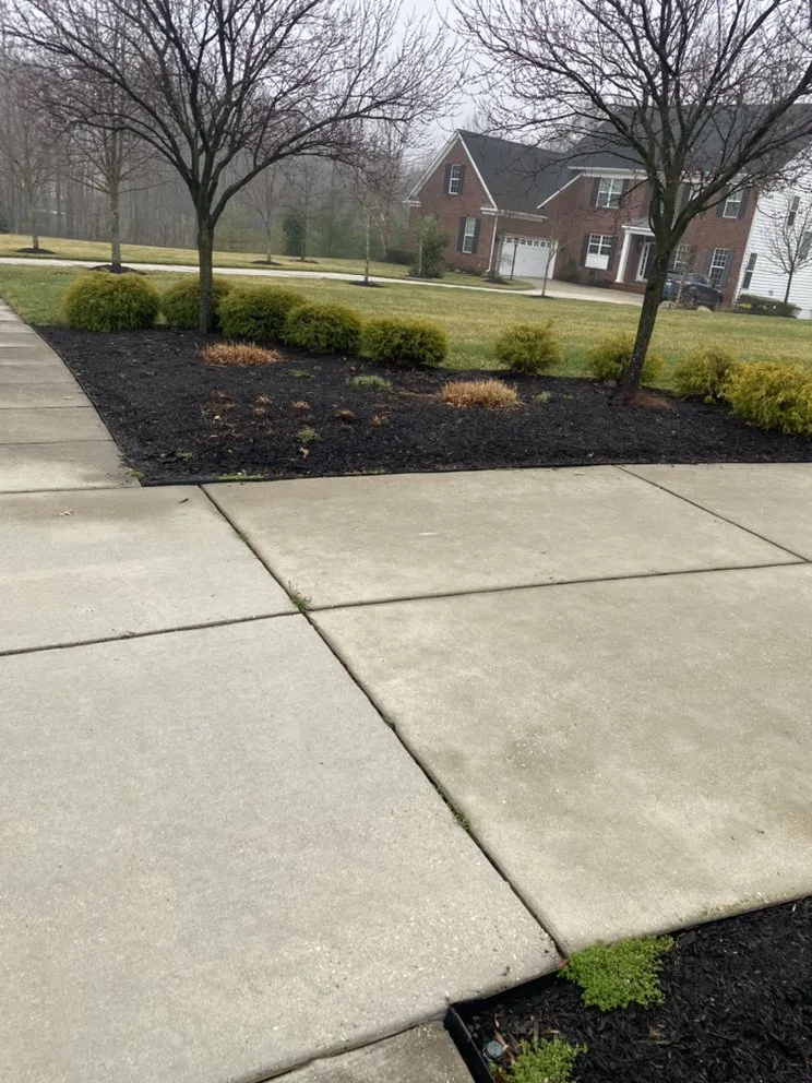 Trusted yard cleanup service in New Carrolltn, MD - Rivera Landscaping
