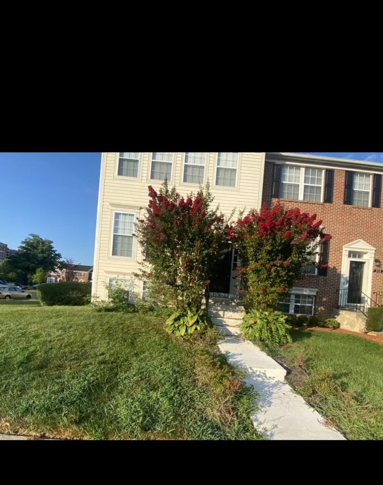 Local landscaping services near you in New Carrolltn, MD by Rivera Landscaping