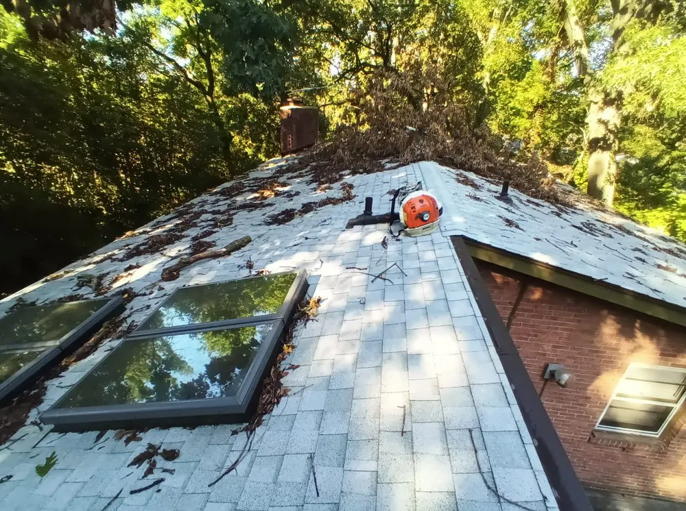 Trusted residential landscaping in New Carrolltn, MD by Rivera Landscaping