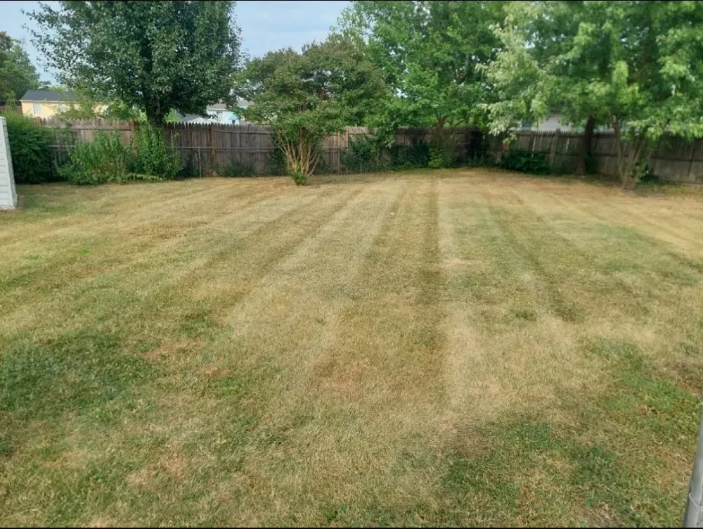 Local yard maintenance in Fort Washington, MD - Rivera Landscaping Service