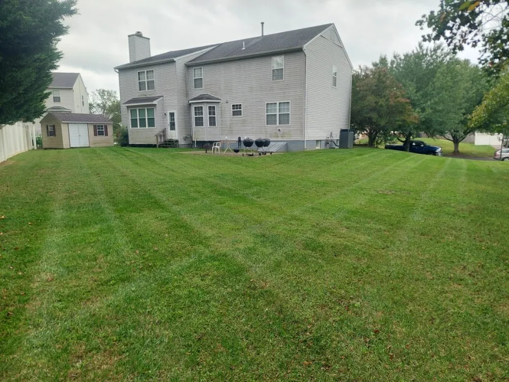 Professional lawn care service in Fort Washington, MD by Rivera Landscaping Service