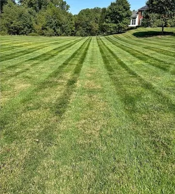 Rivera Landscaping Service