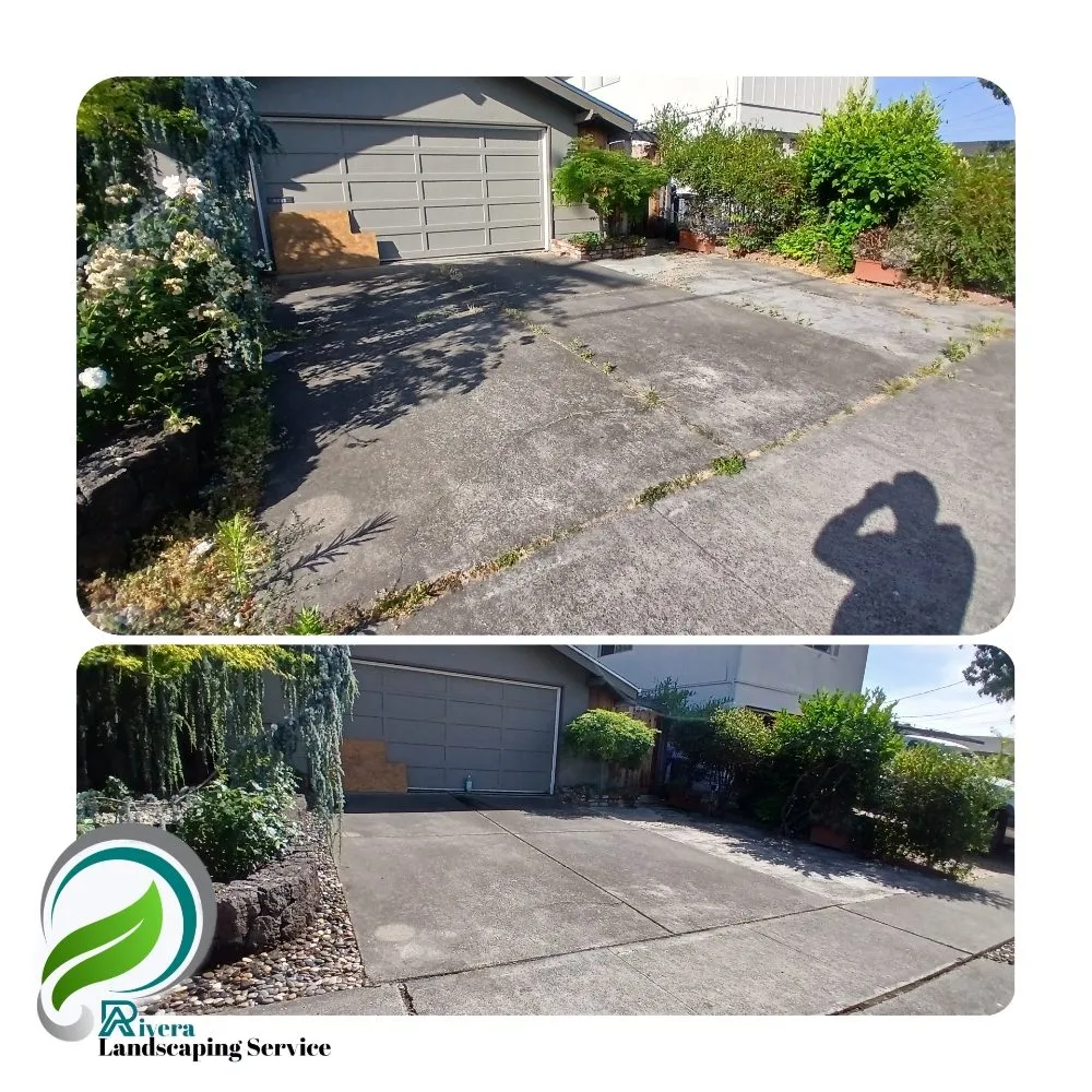 Expert landscape design in Vallejo, CA - Rivera Landscaping Service