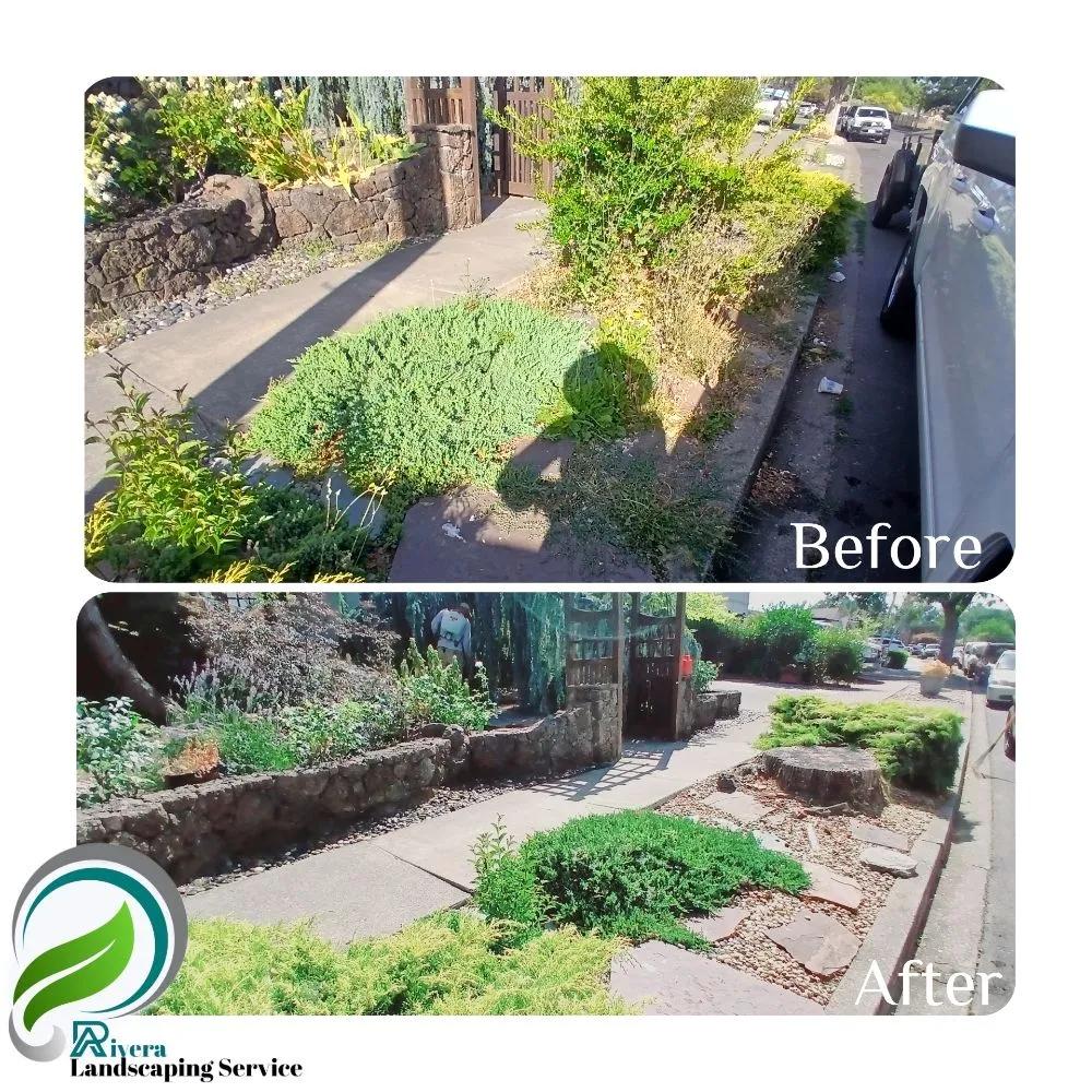 Professional lawn mowing service for residential properties across Vallejo, CA - Rivera Landscaping Service