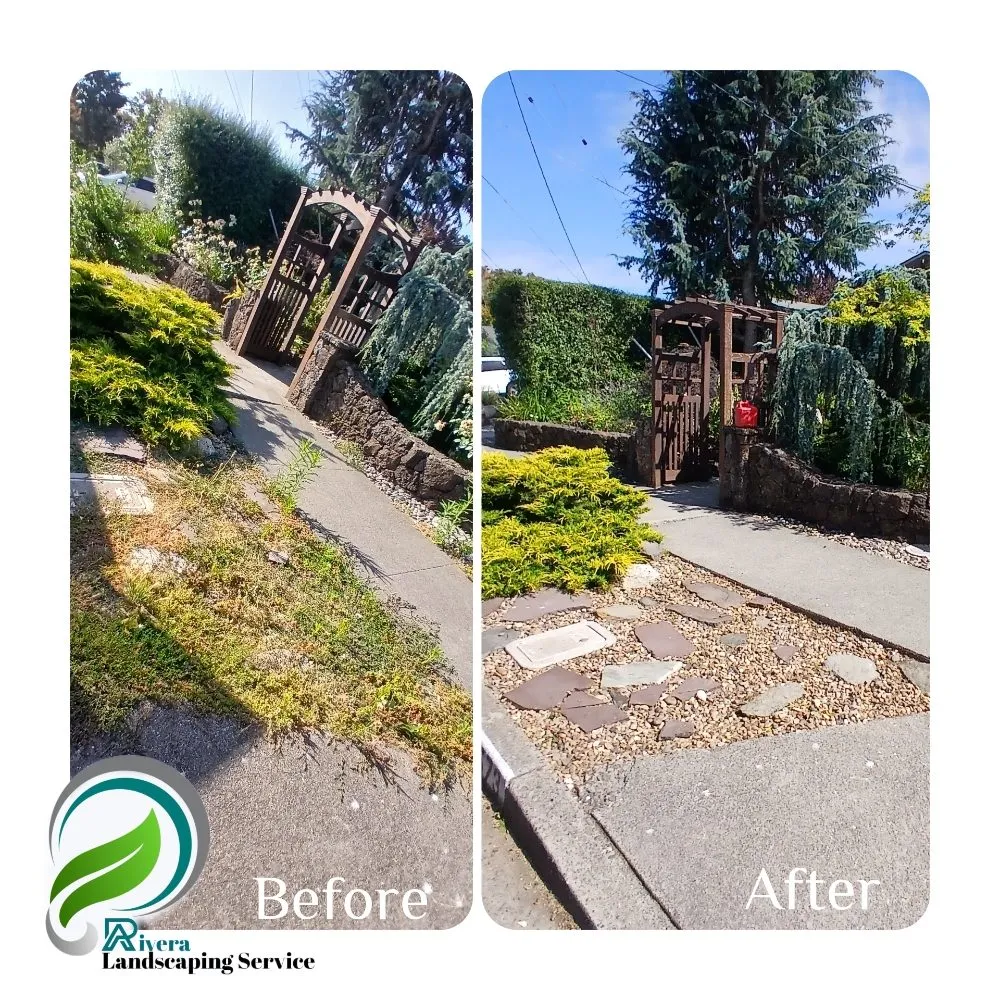 Affordable landscaping services experts serving Vallejo, CA - Rivera Landscaping Service