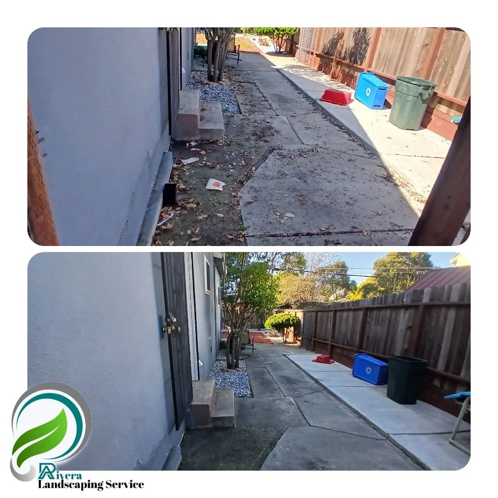 Local outdoor landscaping in Vallejo, CA - Rivera Landscaping Service