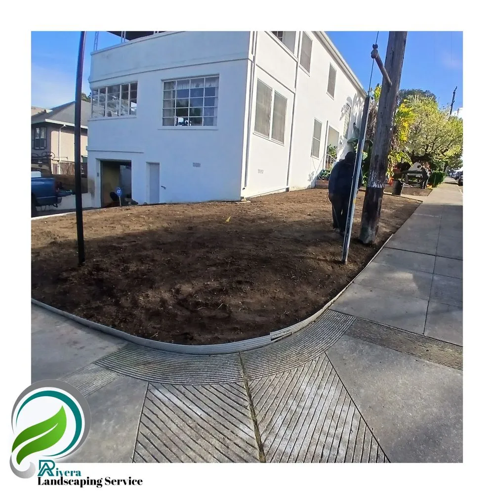 Top-rated landscape design in Vallejo, CA by Rivera Landscaping Service