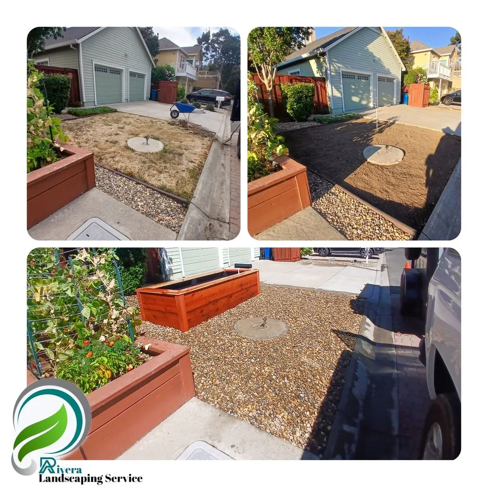 Trusted landscaping services in Vallejo, CA by Rivera Landscaping Service