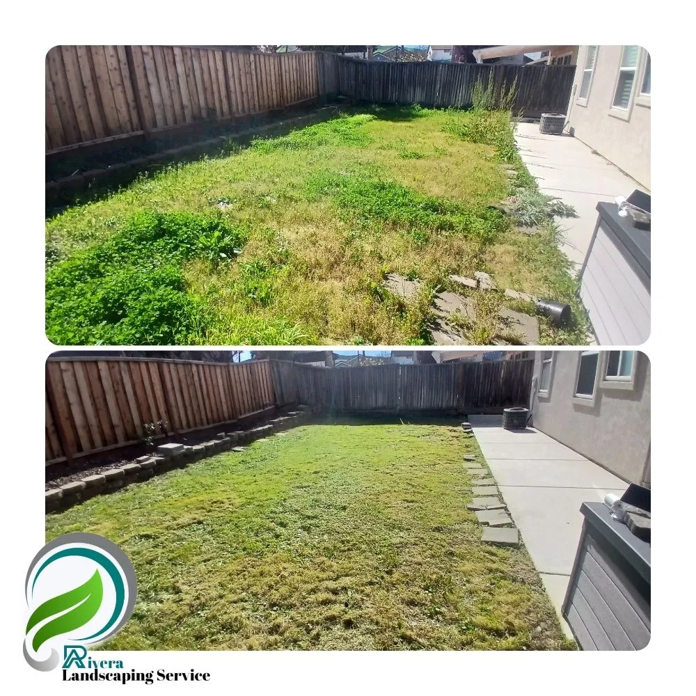 Local residential landscaping for beautiful yards across Vallejo, CA - Rivera Landscaping Service