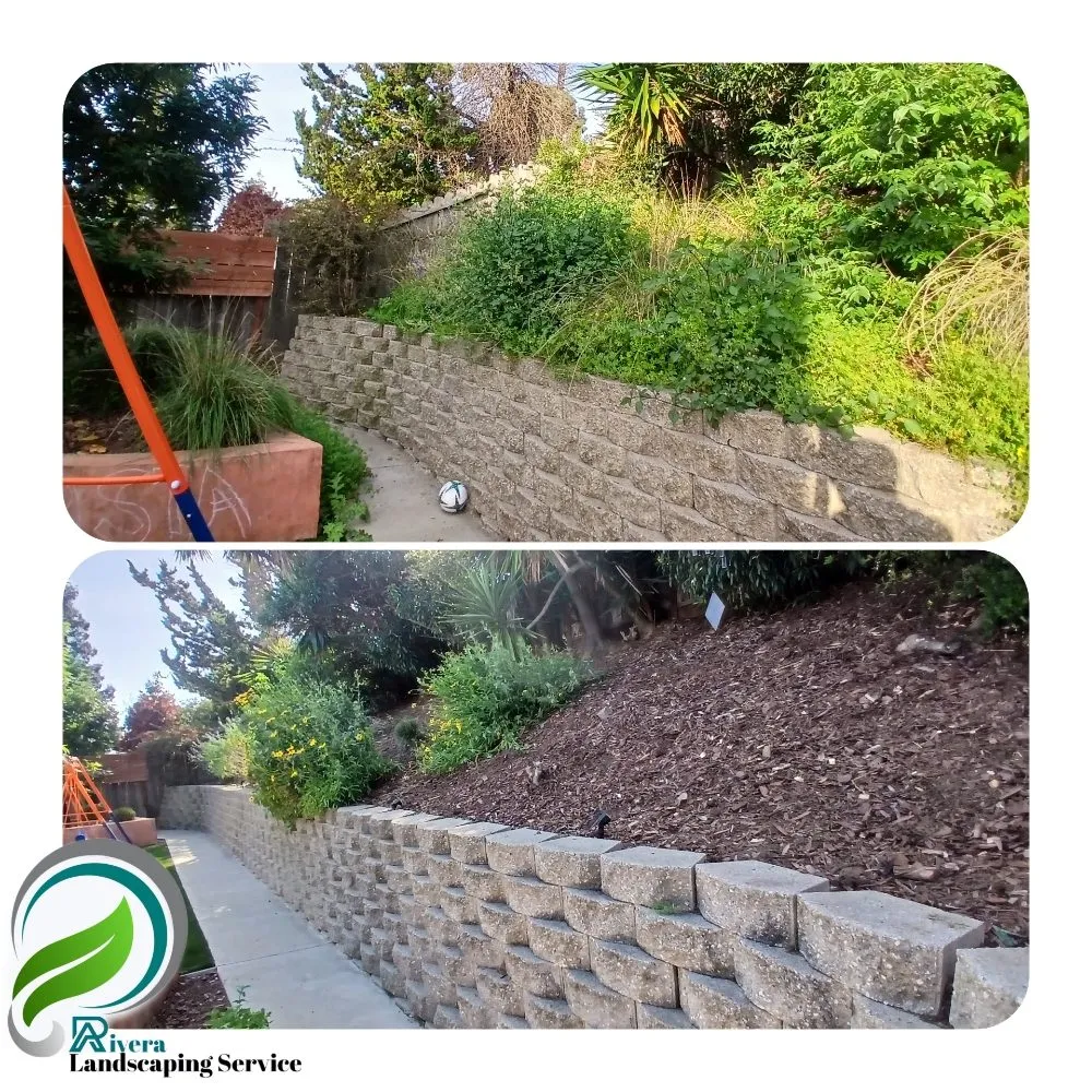 Expert yard maintenance near you across Vallejo, CA - Rivera Landscaping Service