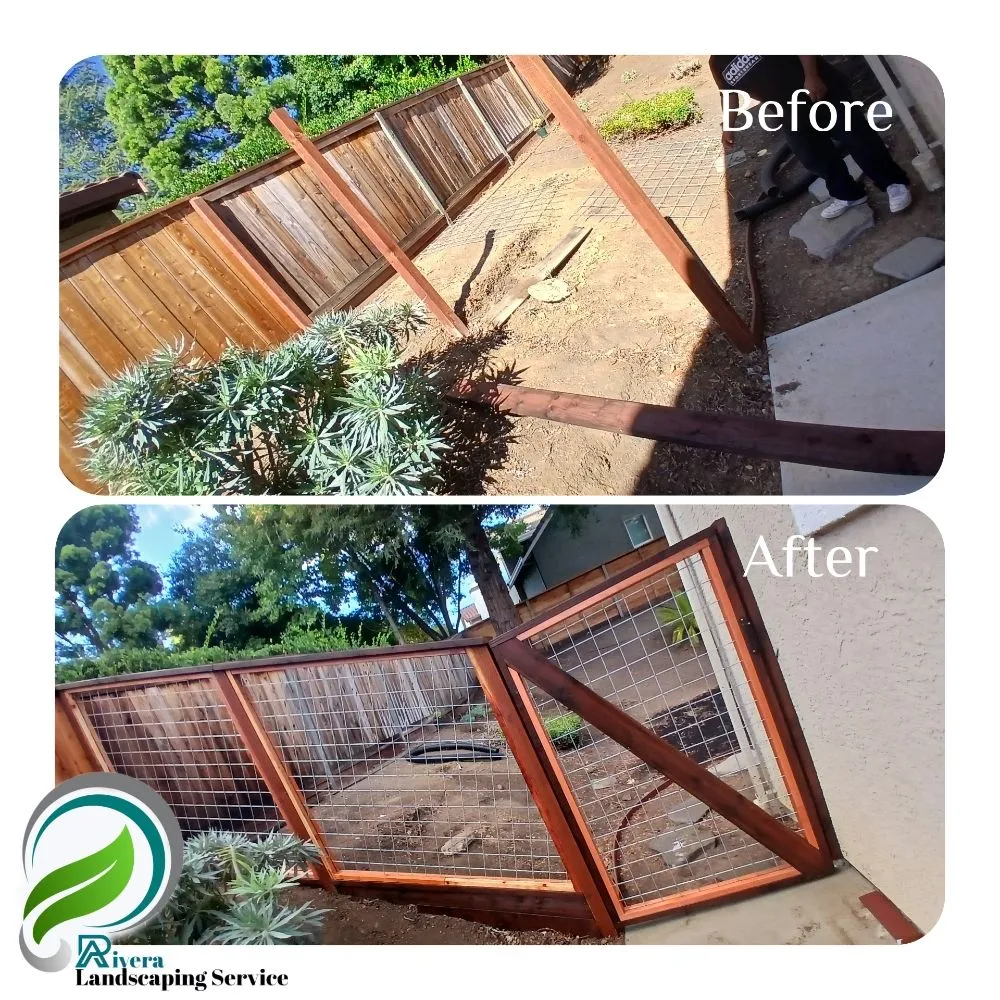 Top-rated residential landscaping in Vallejo, CA - Rivera Landscaping Service