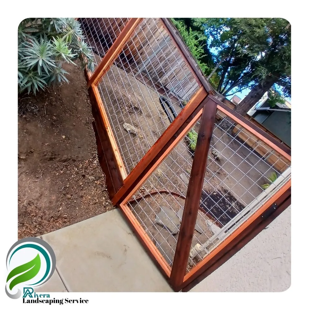 Local lawn care service in Vallejo, CA - Rivera Landscaping Service