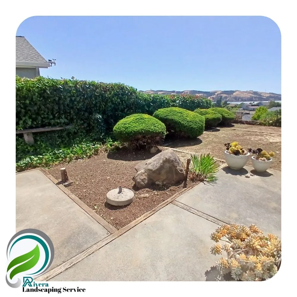 Local residential landscaping experts serving Vallejo, CA - Rivera Landscaping Service