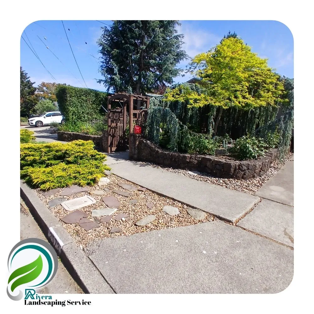 Professional lawn mowing service for outdoor upgrades across Vallejo, CA - Rivera Landscaping Service