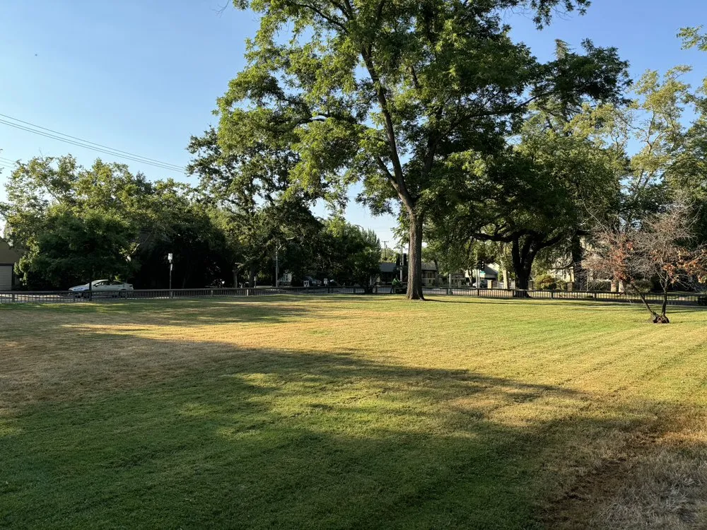 Expert garden landscaping in Sacramento, CA - Rivera Landscaping Services