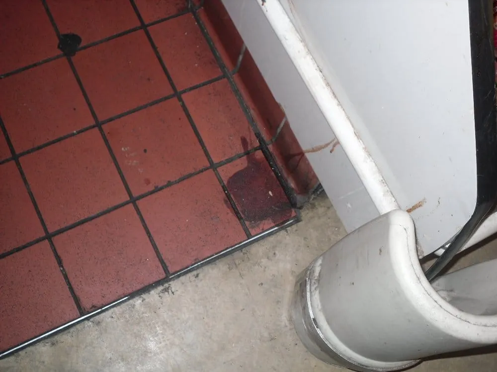 Reliable landscape installation with custom design in Sacramento, CA by Rivera Landscaping Services