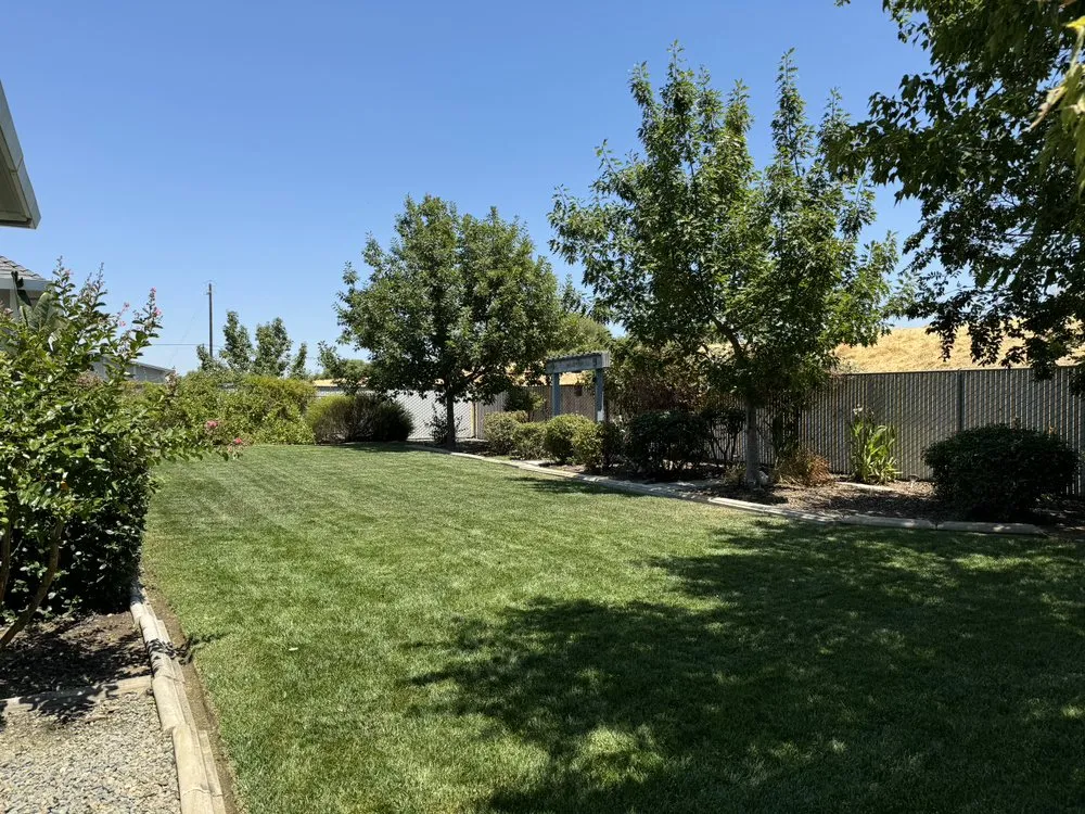 Expert yard cleanup service for outdoor upgrades in Sacramento, CA by Rivera Landscaping Services