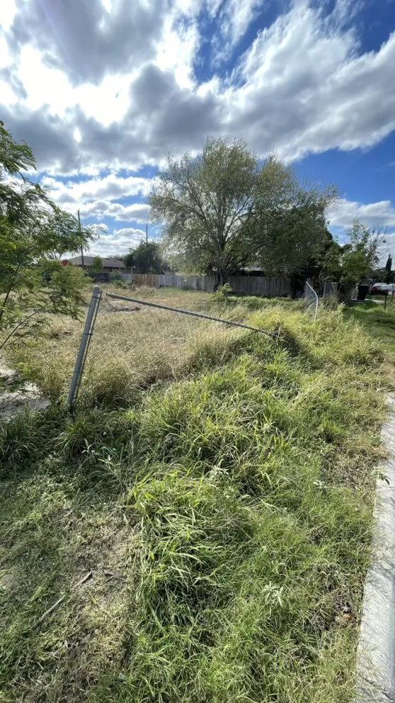 Expert garden landscaping in Alamo, TX - Rivera Lawn Care