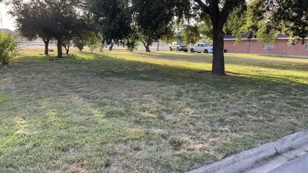 Custom landscape design with custom design in Alamo, TX by Rivera Lawn Care