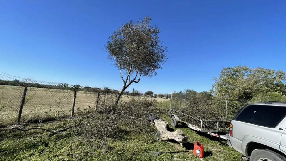 Top-rated garden landscaping in Alamo, TX by Rivera Lawn Care