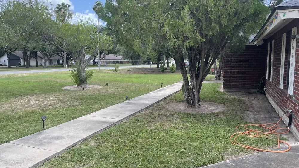 Professional lawn mowing service experts serving Alamo, TX - Rivera Lawn Care