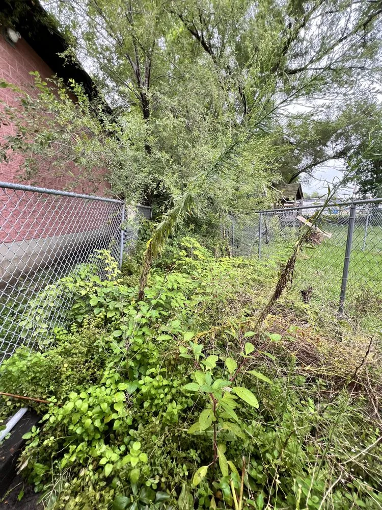 Affordable outdoor landscaping with custom design across Ottawa, IL - Rivera Lawn Care