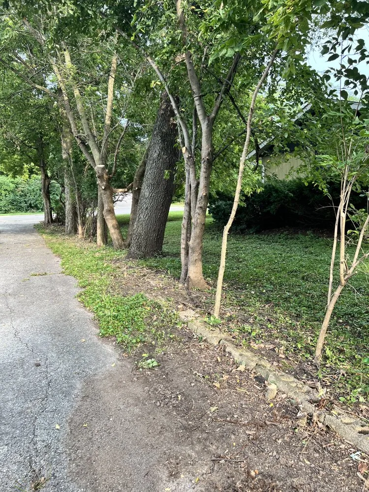 Trusted yard maintenance experts serving Ottawa, IL - Rivera Lawn Care