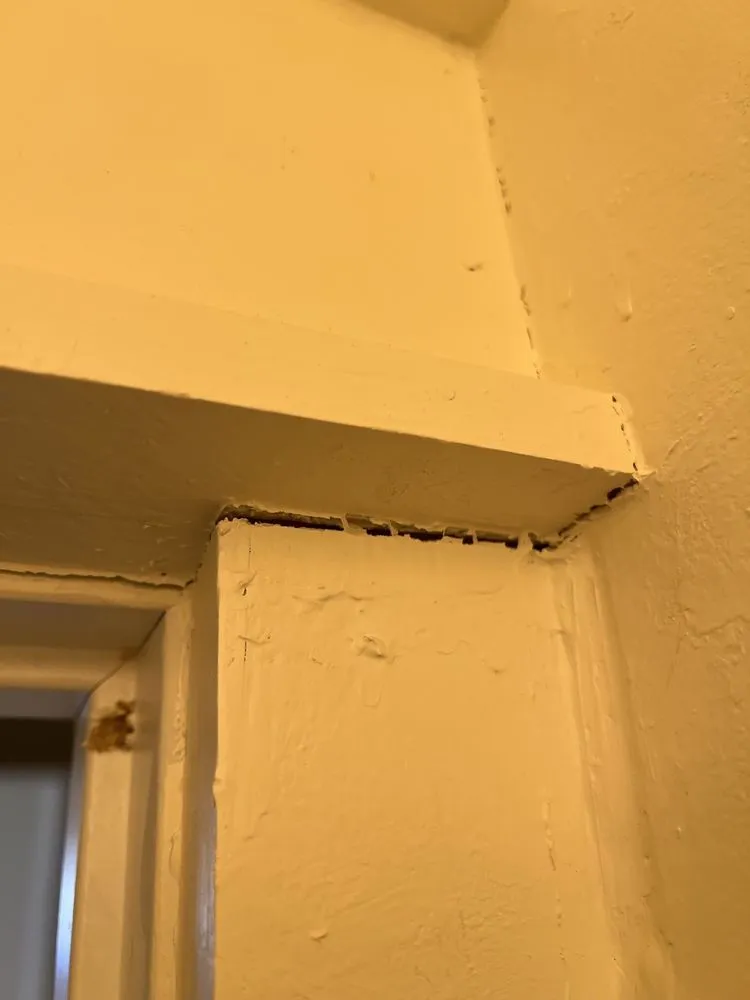 Local lawn mowing service experts serving Aurora, MO - Rivera Masonry & Landscape