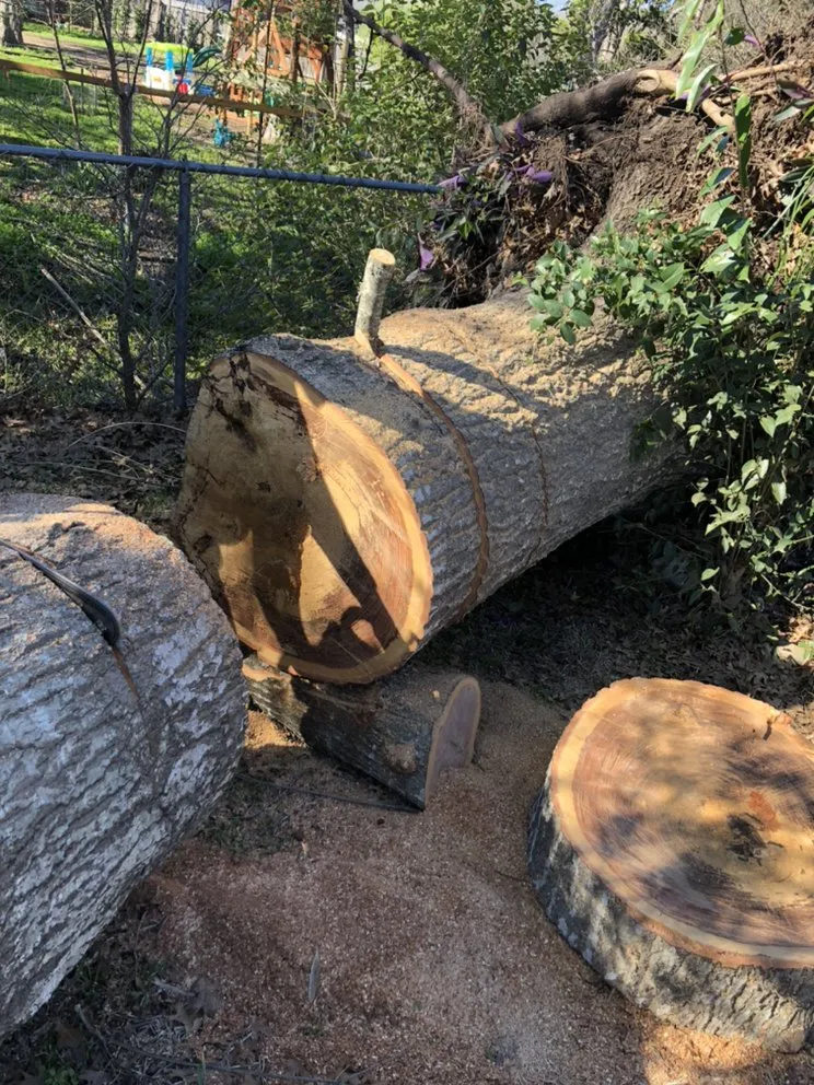 Custom outdoor landscaping for residential properties across Elgin, TX - Rivera Tree Service & Landscaping