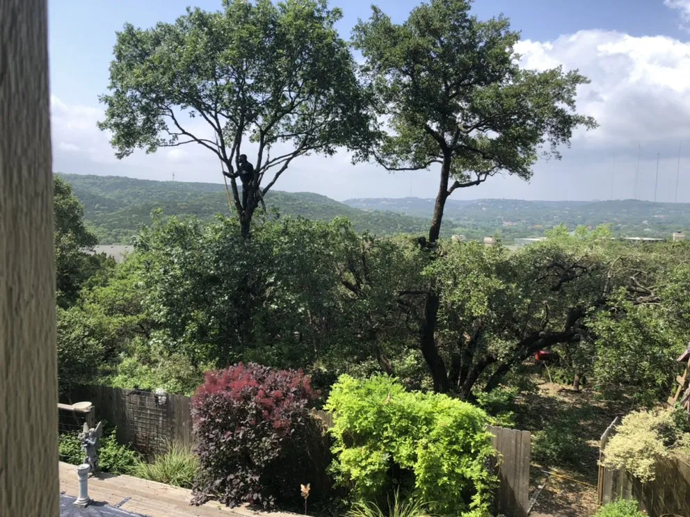 Affordable landscaping services in Elgin, TX by Rivera Tree Service & Landscaping