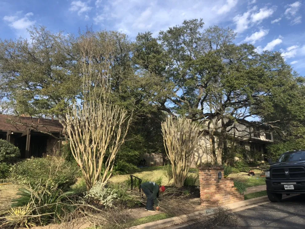 Expert yard cleanup service with custom design in Elgin, TX by Rivera Tree Service & Landscaping