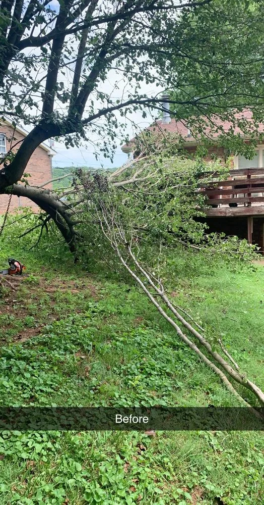Reliable landscape installation for outdoor upgrades in Antioch, TN by Riveras & Landscaping & Junk Removal Services