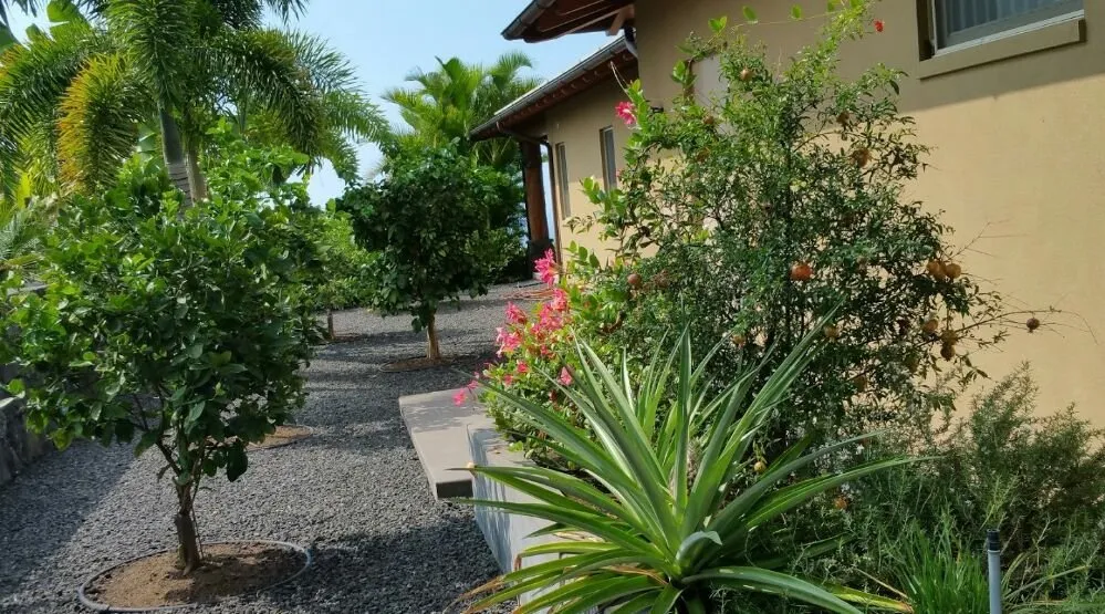 Local landscape installation in Kailua-Kona, HI by Rivera's Custom Landscaping and Excavating