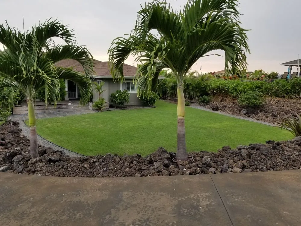 Local yard cleanup service for residential properties in Kailua-Kona, HI by Rivera's Custom Landscaping and Excavating