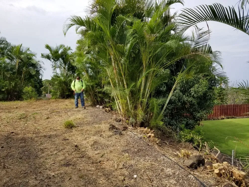 Trusted landscape design near you across Kailua-Kona, HI - Rivera's Custom Landscaping and Excavating
