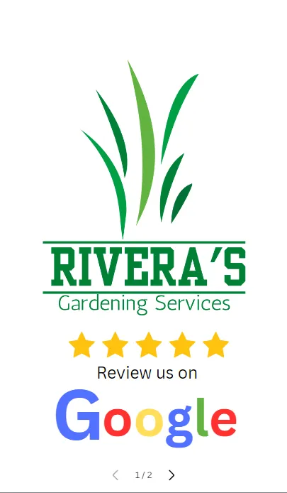 Affordable lawn care service experts serving Baton Rouge, LA - Riveras Gardening Services
