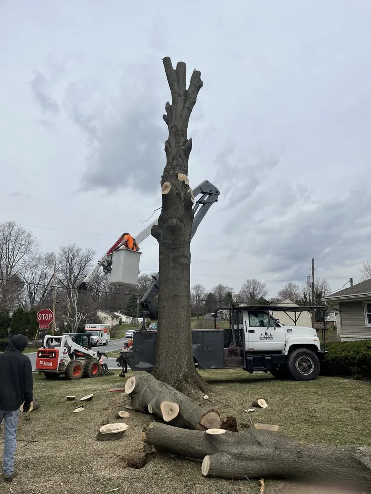 Professional yard maintenance experts serving Elizabethtown, PA - Rivera's General Service