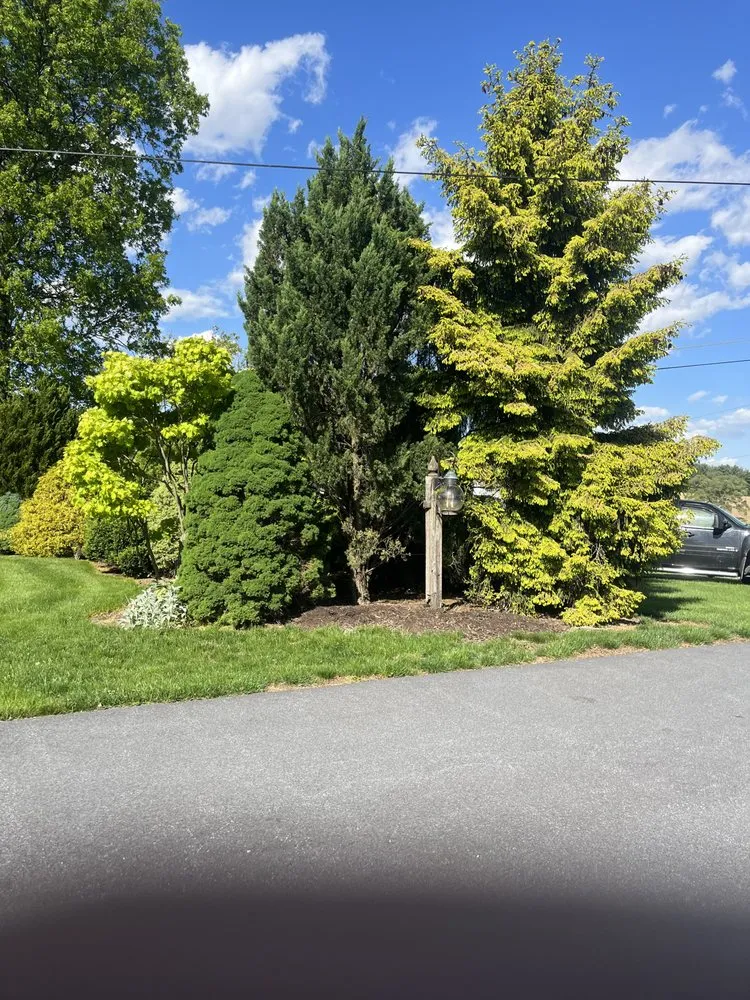 Expert residential landscaping with custom design in Elizabethtown, PA by Rivera's General Service