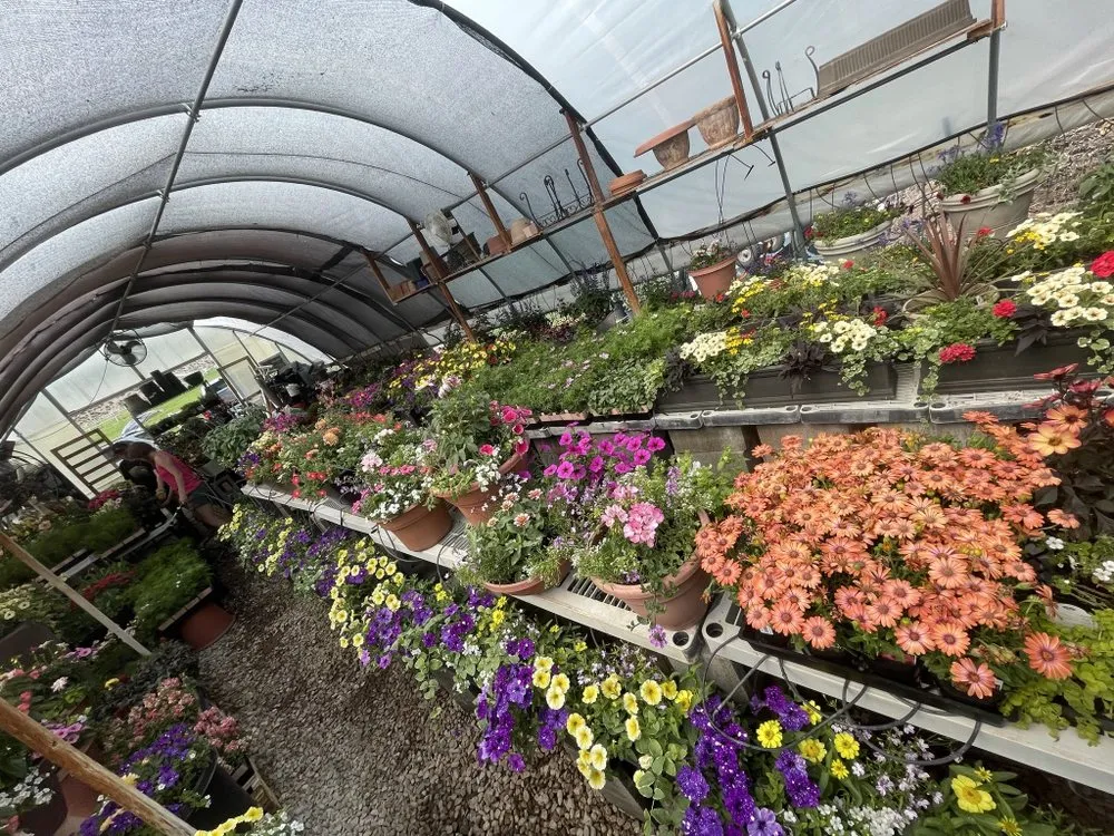 Trusted lawn mowing service experts serving Colorado Springs, CO - Riveras Landscape And Restoration