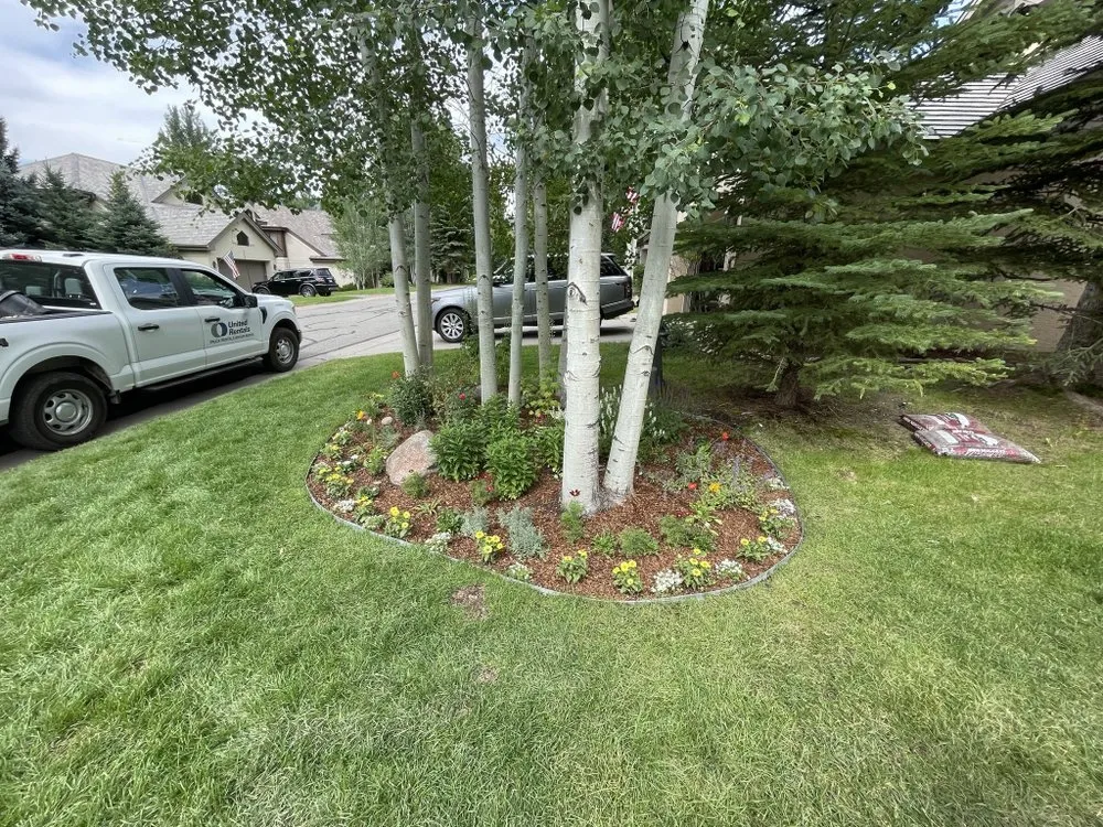 Affordable residential landscaping in Colorado Springs, CO by Riveras Landscape And Restoration