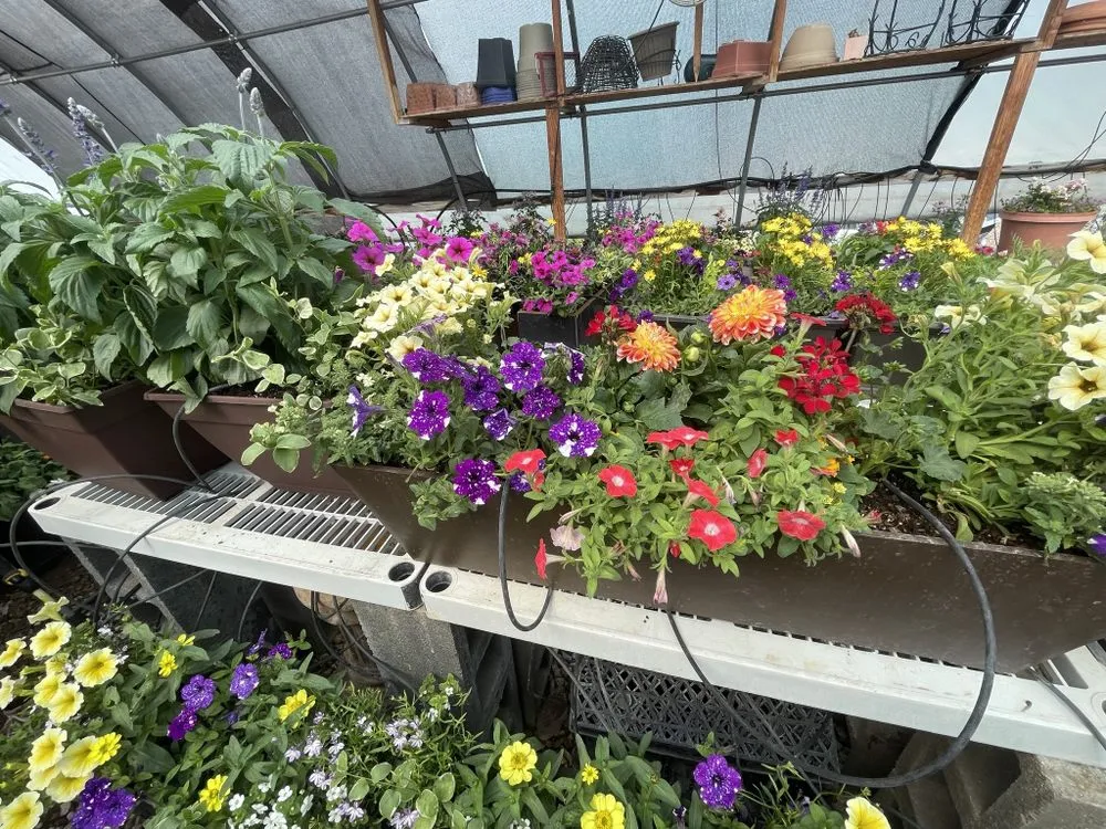 Affordable lawn care service in Colorado Springs, CO - Riveras Landscape And Restoration