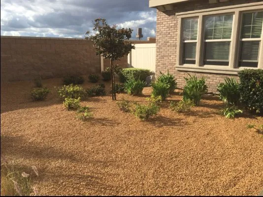 Top-rated residential landscaping experts serving Perris, CA - Rivera's Landscape Services