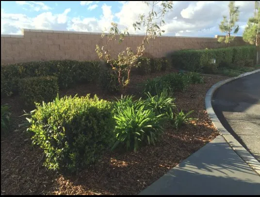 Professional residential landscaping in Perris, CA - Rivera's Landscape Services