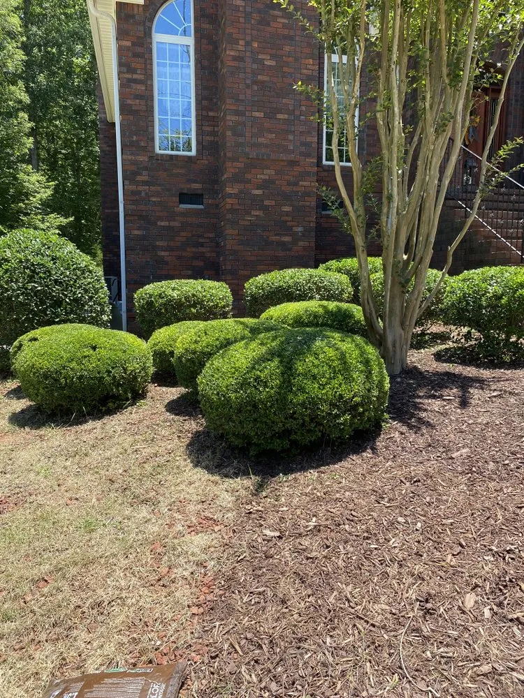 Professional residential landscaping in Lancaster, SC by Rivera’s Landscaping & Lawncare
