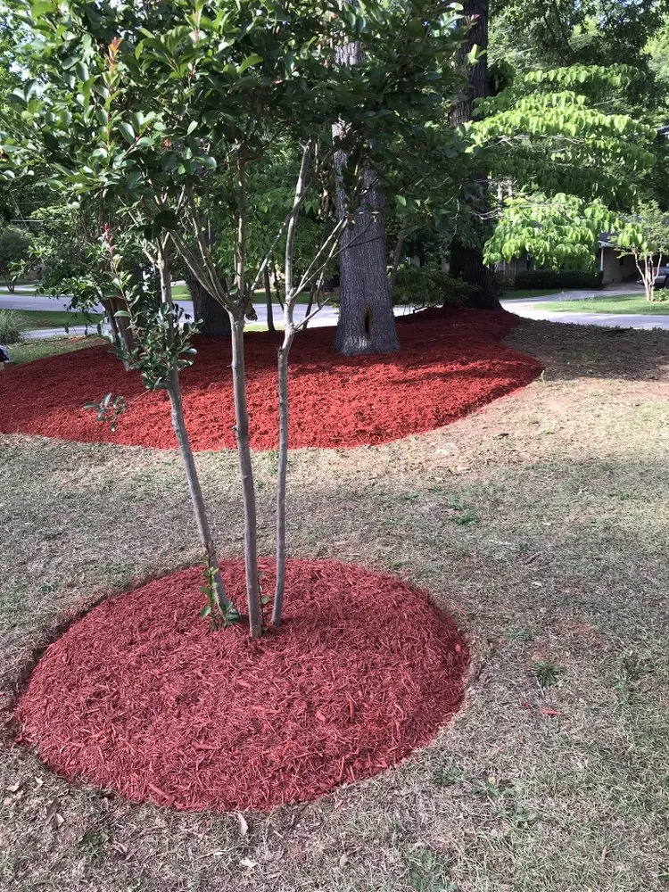 Trusted garden landscaping in Lancaster, SC - Rivera’s Landscaping & Lawncare