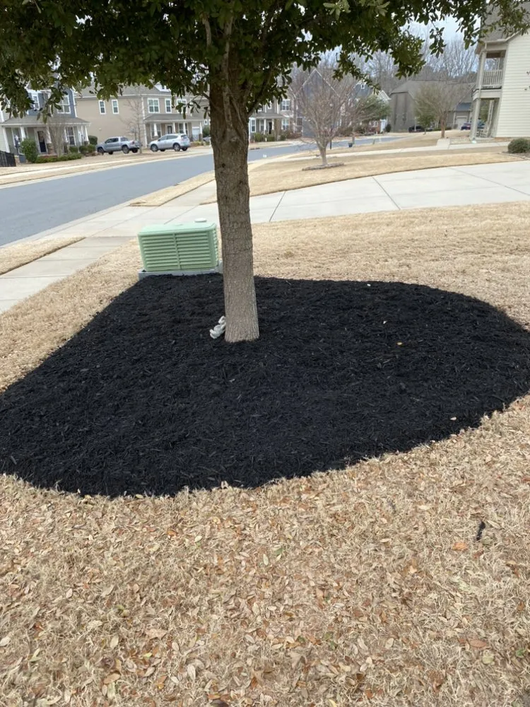 Professional landscape installation in Lancaster, SC - Rivera’s Landscaping & Lawncare