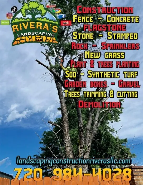 Professional landscape installation in Northglenn, CO - Rivera's Landscaping And Construction