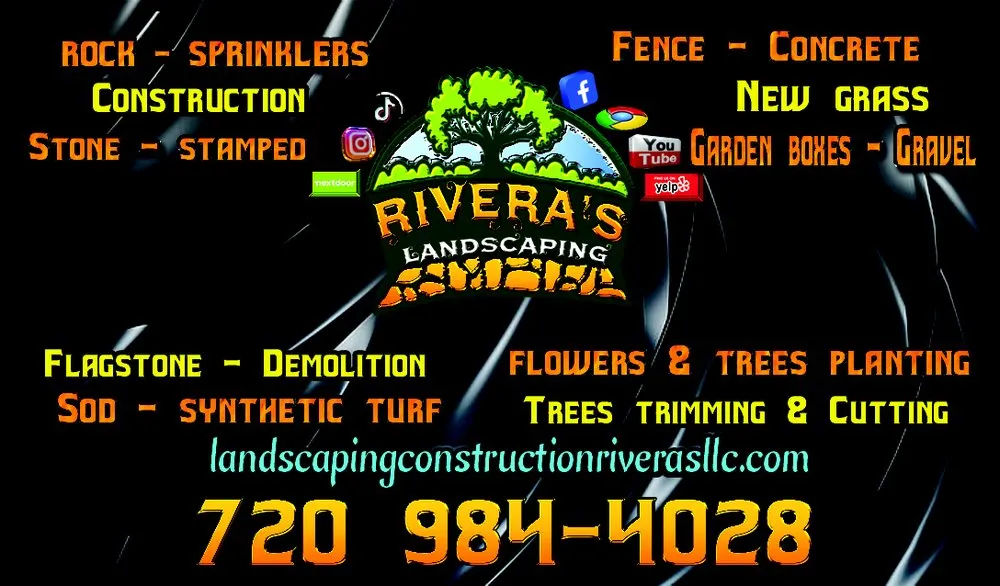 Reliable yard cleanup service for year-round maintenance in Northglenn, CO by Rivera's Landscaping And Construction