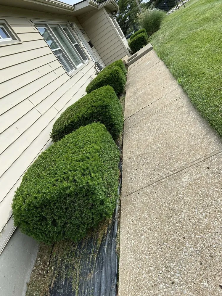 Expert outdoor landscaping in Overland Park, KS by Rivera's Landscaping and Lawn Services