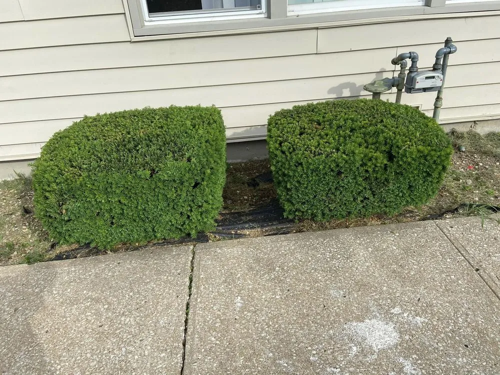 Local lawn mowing service in Overland Park, KS - Rivera's Landscaping and Lawn Services